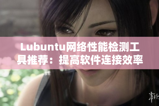 Lubuntu网络性能检测工具推荐：提高软件连接效率