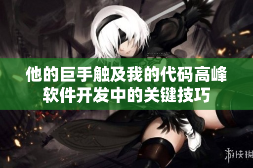 他的巨手触及我的代码高峰软件开发中的关键技巧