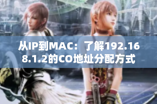 从IP到MAC：了解192.168.1.2的CO地址分配方式