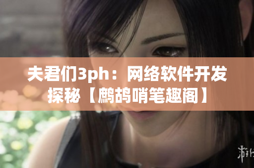 夫君们3ph：网络软件开发探秘【鹧鸪哨笔趣阁】