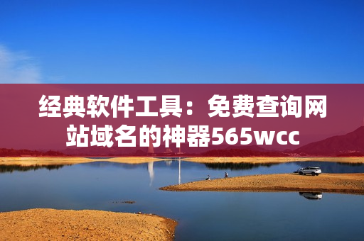 经典软件工具：免费查询网站域名的神器565wcc