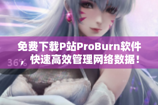 免费下载P站ProBurn软件，快速高效管理网络数据！