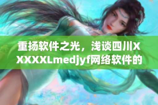 重扬软件之光，浅谈四川XXXXXLmedjyf网络软件的前世今生！