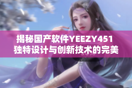 揭秘国产软件YEEZY451 独特设计与创新技术的完美结合