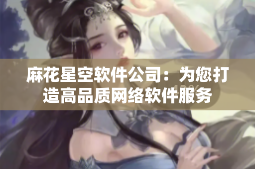 麻花星空软件公司：为您打造高品质网络软件服务