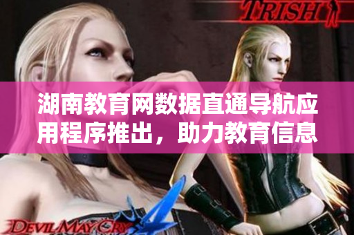 湖南教育网数据直通导航应用程序推出，助力教育信息查询
