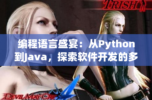 编程语言盛宴：从Python到Java，探索软件开发的多样性