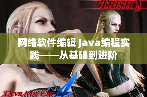 网络软件编辑 Java编程实践——从基础到进阶