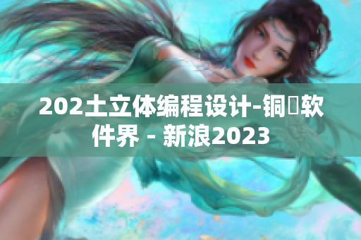 202土立体编程设计-铜質软件界 - 新浪2023