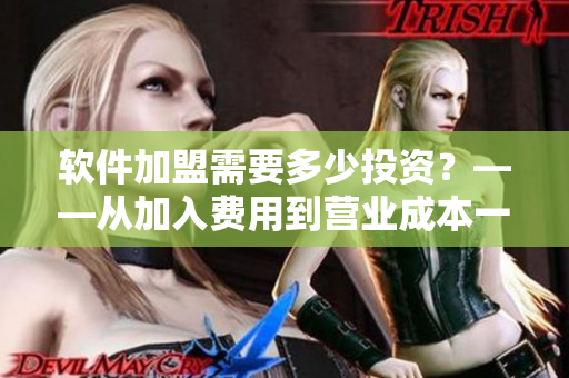 软件加盟需要多少投资？——从加入费用到营业成本一一揭秘