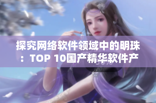 探究网络软件领域中的明珠：TOP 10国产精华软件产品