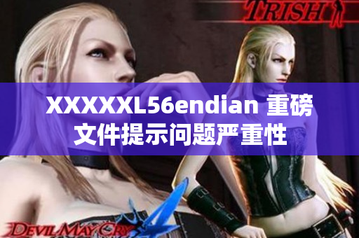 XXXXXL56endian 重磅文件提示问题严重性