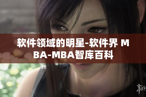 软件领域的明星-软件界 MBA-MBA智库百科