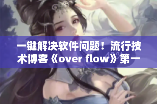 一键解决软件问题！流行技术博客《over flow》第一季免费观看