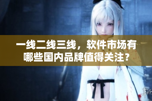 一线二线三线，软件市场有哪些国内品牌值得关注？