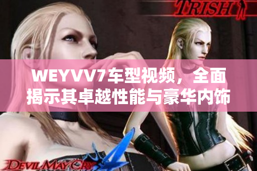 WEYVV7车型视频，全面揭示其卓越性能与豪华内饰