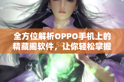 全方位解析OPPO手机上的精藏阁软件，让你轻松掌握网络软件的使用