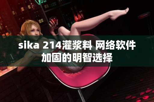 sika 214灌浆料 网络软件加固的明智选择