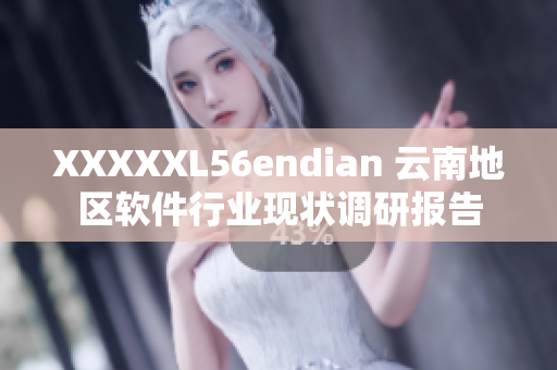 XXXXXL56endian 云南地区软件行业现状调研报告