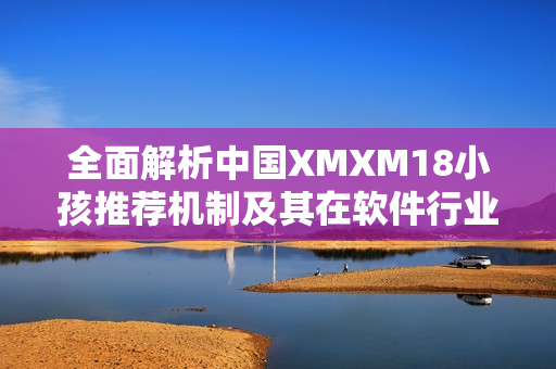 全面解析中国XMXM18小孩推荐机制及其在软件行业中的应用