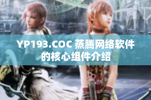 YP193.COC 蒸腾网络软件的核心组件介绍