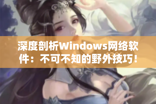 深度剖析Windows网络软件：不可不知的野外技巧！