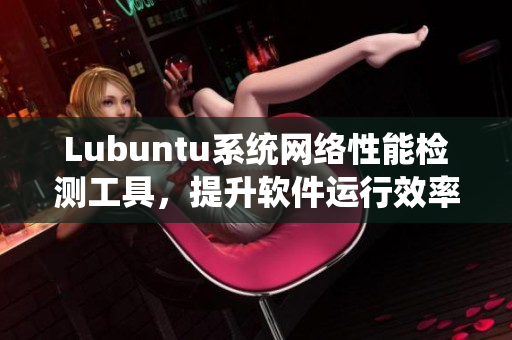 Lubuntu系统网络性能检测工具，提升软件运行效率