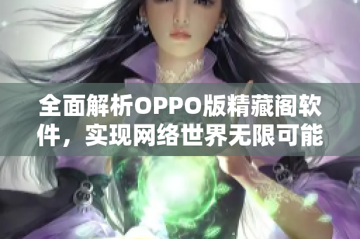 全面解析OPPO版精藏阁软件，实现网络世界无限可能