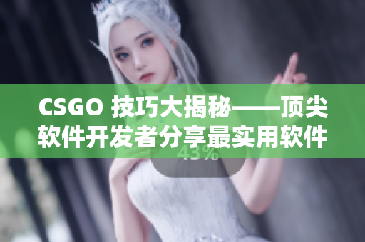 CSGO 技巧大揭秘——顶尖软件开发者分享最实用软件开发技巧