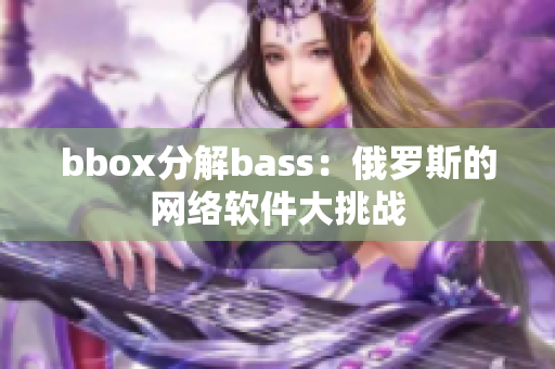 bbox分解bass：俄罗斯的网络软件大挑战