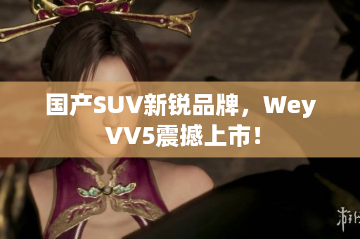 国产SUV新锐品牌，Wey VV5震撼上市！