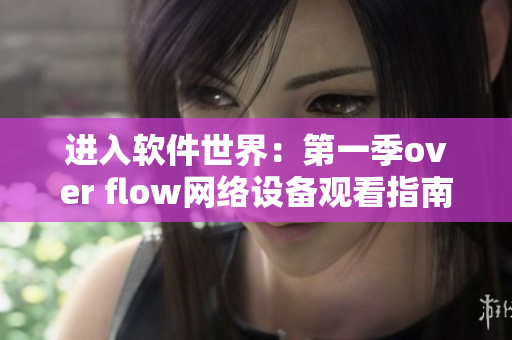 进入软件世界：第一季over flow网络设备观看指南