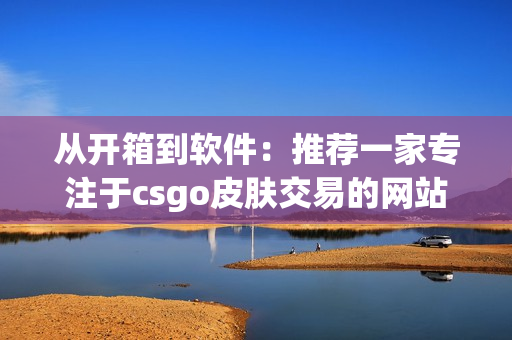 从开箱到软件：推荐一家专注于csgo皮肤交易的网站