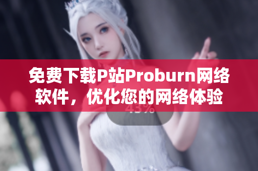 免费下载P站Proburn网络软件，优化您的网络体验