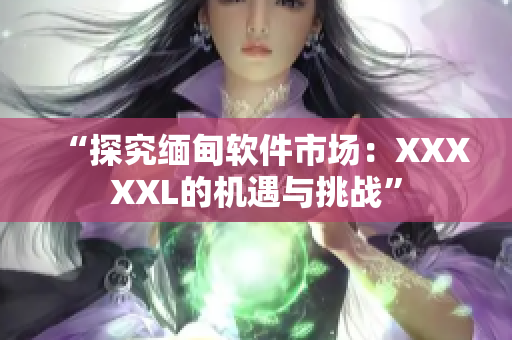 “探究缅甸软件市场：XXXXXL的机遇与挑战”