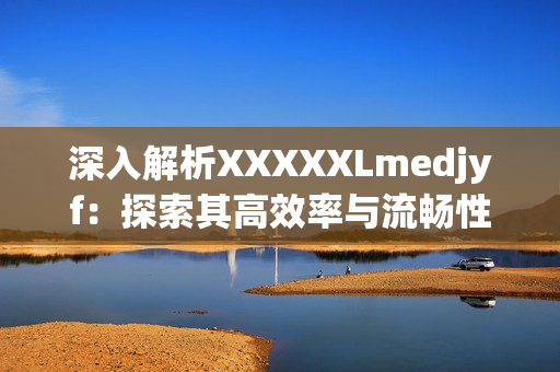 深入解析XXXXXLmedjyf：探索其高效率与流畅性