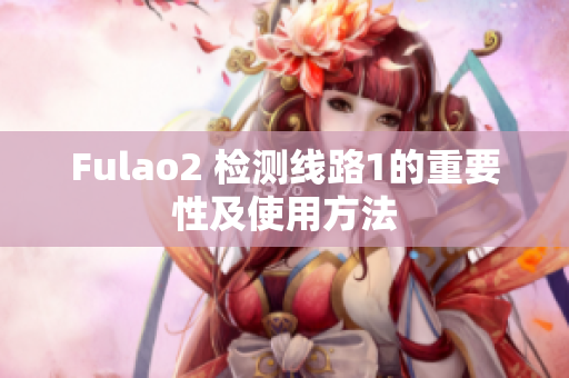 Fulao2 检测线路1的重要性及使用方法