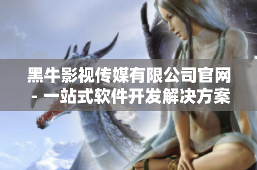 黑牛影视传媒有限公司官网 - 一站式软件开发解决方案！