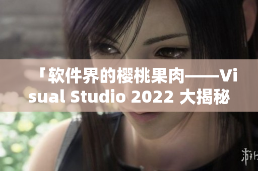 「软件界的樱桃果肉——Visual Studio 2022 大揭秘」