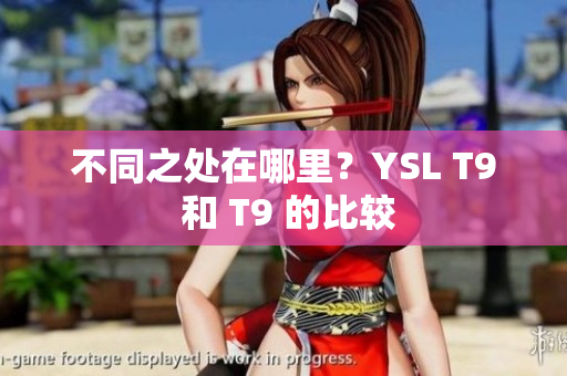 不同之处在哪里？YSL T9 和 T9 的比较