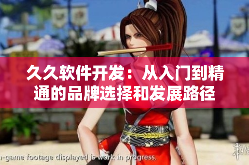久久软件开发：从入门到精通的品牌选择和发展路径