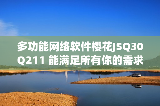 多功能网络软件樱花JSQ30Q211 能满足所有你的需求！