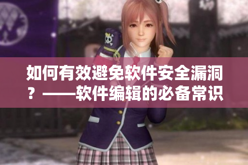 如何有效避免软件安全漏洞？——软件编辑的必备常识