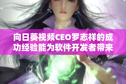 向日葵视频CEO罗志祥的成功经验能为软件开发者带来什么启示？——总结与分析