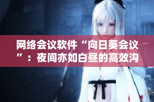 网络会议软件“向日葵会议”：夜间亦如白昼的高效沟通利器