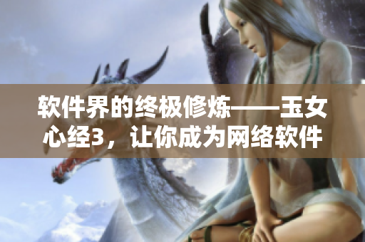 软件界的终极修炼——玉女心经3，让你成为网络软件大师！