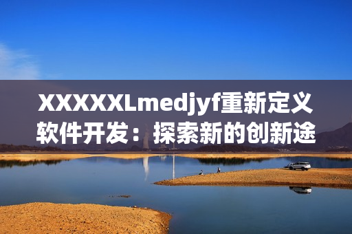 XXXXXLmedjyf重新定义软件开发：探索新的创新途径