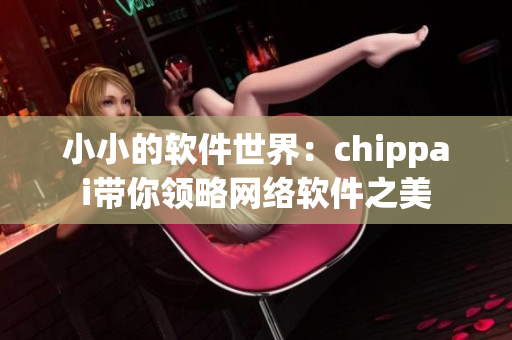 小小的软件世界：chippai带你领略网络软件之美