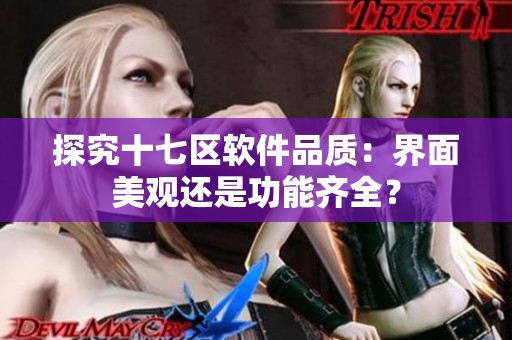 探究十七区软件品质：界面美观还是功能齐全？