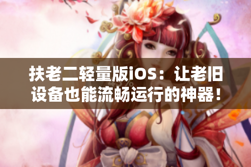 扶老二轻量版iOS：让老旧设备也能流畅运行的神器！